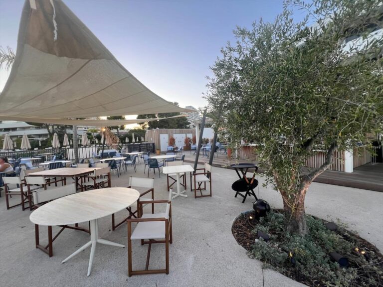 Terrasse ombragée par des voiles avec tables et olivier